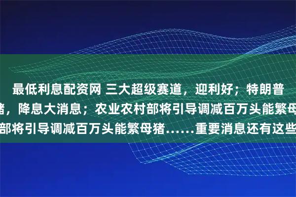 最低利息配资网 三大超级赛道，迎利好；特朗普即将与普京会晤；美联储，降息大消息；农业农村部将引导调减百万头能繁母猪……重要消息还有这些