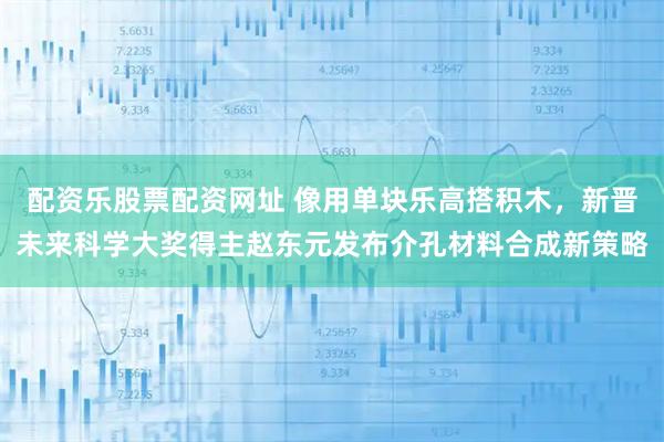 配资乐股票配资网址 像用单块乐高搭积木，新晋未来科学大奖得主赵东元发布介孔材料合成新策略